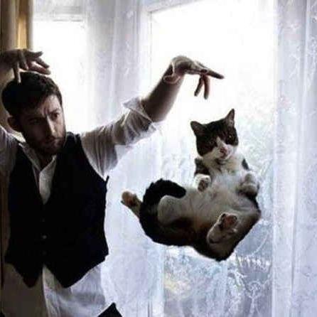 kalebhunsucker's profile picture. walk your dog