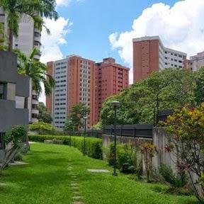 Habitante de Caracas y Lomas del Avila Palo verde. Luchando por un mejor vivir para la comunidad.
