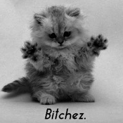 ttonbonsy's profile picture. 