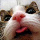 Jimmy - @jimmy_casper - Twitter