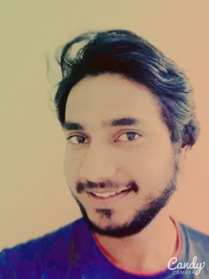 Programmer