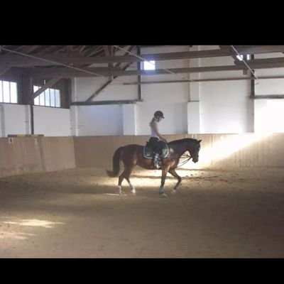 Love my Horses♡#Riding# ~Bibinator~♡~Bienchen~♡