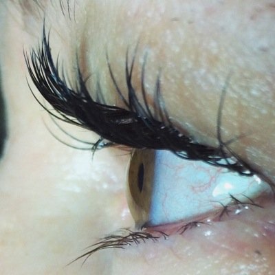 eyelashesbylac's profile picture. 