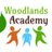 WoodlandsAC's profile image