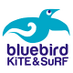 bluebirdKiTE (@bluebirdkite) Twitter profile photo