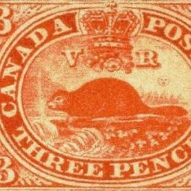 Common Sense Canada Profile