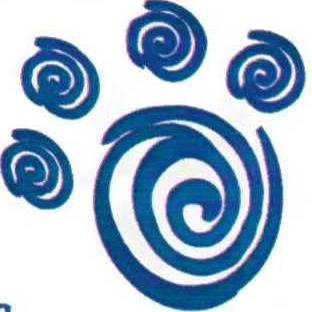 DDMS PTA