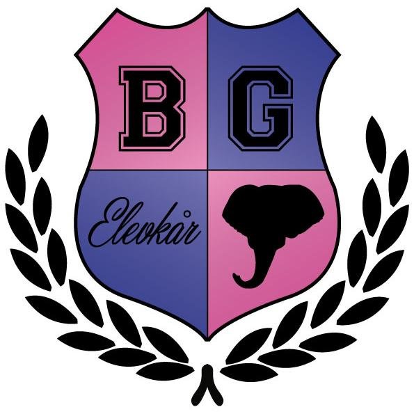 bergaelevkar's profile picture. Bergagymnasiets elevkår!