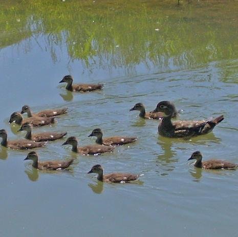 PottProjectPlus's profile picture. 