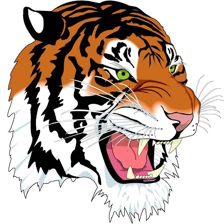 Carthage Tigers