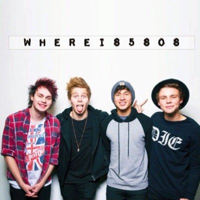 A 5SOS fam account for all of the family member to talk to each other, share ideas and thoughts about things, and OF COURSE our LOVE FOR THE GUYS!!!!