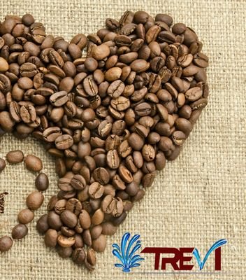 Trevi casual dining , cafe , New cairo , Egypt , Eltagamo' el khames.