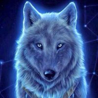 annie (@ludditeviv) 's Twitter Profile