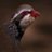 PasionCaza's profile image
