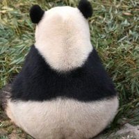 Roger (@rogersmile6700) 's Twitter Profile