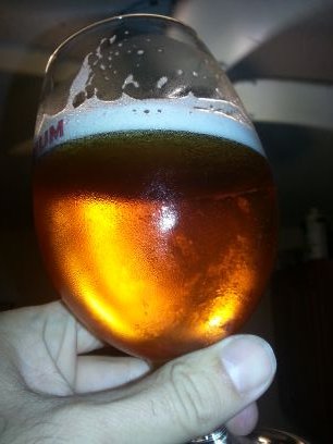 KossBoss1's profile picture. Beer. Garden.