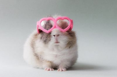 •gewoon gezellige tweets •een acount met alleen maar leuke dingen. •bijna alle plaatjes komen van weheartit.