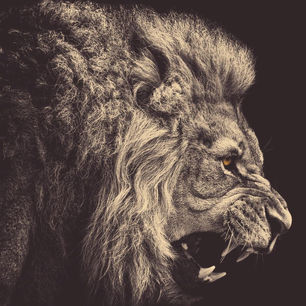 Lead Software Engineer. Madrid. Don't tread on me.