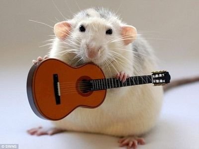 Music my live!