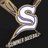 SumnerBaseball's profile image
