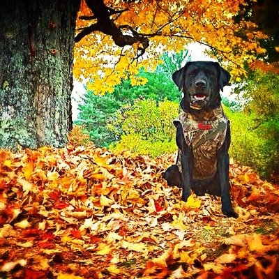 I love the outdoors hunting is my passion!!