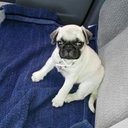 Martha Yanes - @YanesQuin - Twitter