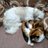 HutchLaura's profile image