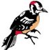 Darrick Wood PE and Sport (@dws_pe) Twitter profile photo