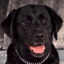 Roxanne Baldwin - @roxbaldwin - Twitter