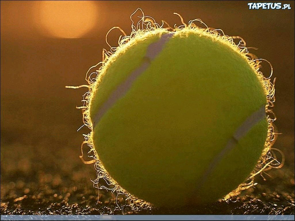 klima234's profile picture. 