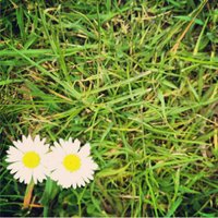 lucy ford (@lucyf79) 's Twitter Profile