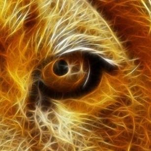 BanterLion's profile picture. You want a retweet? just follow me :) want a shout out? just DM me what you want me to say and a pic if that's what you want :) main account - just ask :)