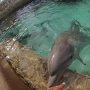 Sophia Manning - @GoproCentral - Twitter
