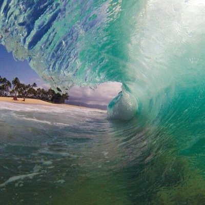 Amazing pictures of places, animals, and nature.
