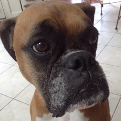 oraharro Profile Picture