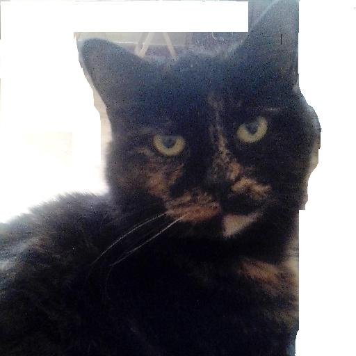 spykids298381's profile picture. 