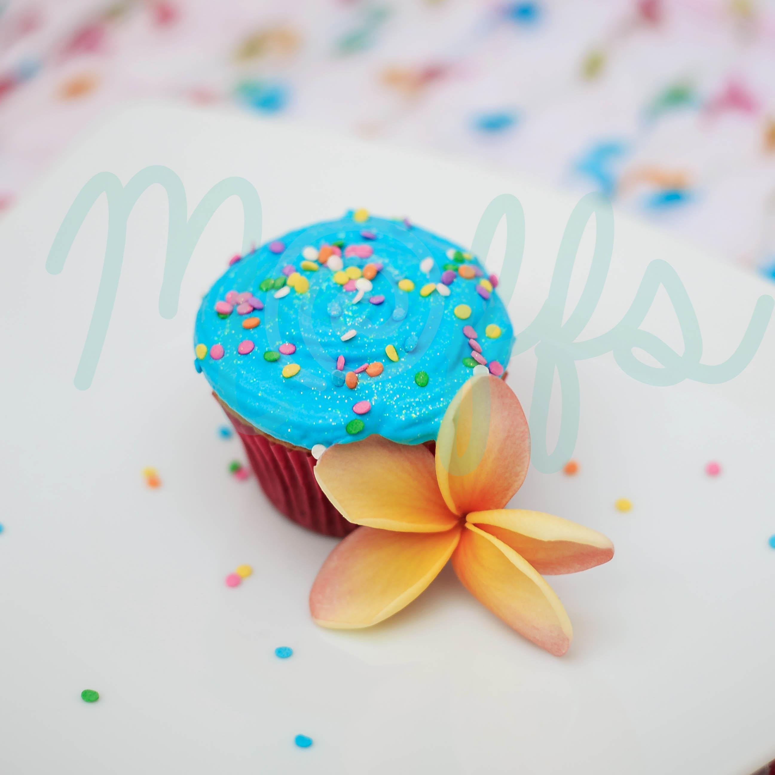 MAFFS7's profile picture. Maff´s Dulces momentos.

Dedicada artesanalmente a crear deliciosas ideas para compartir dulces momentos según tú gusto. 

Servicio para mesas de postres