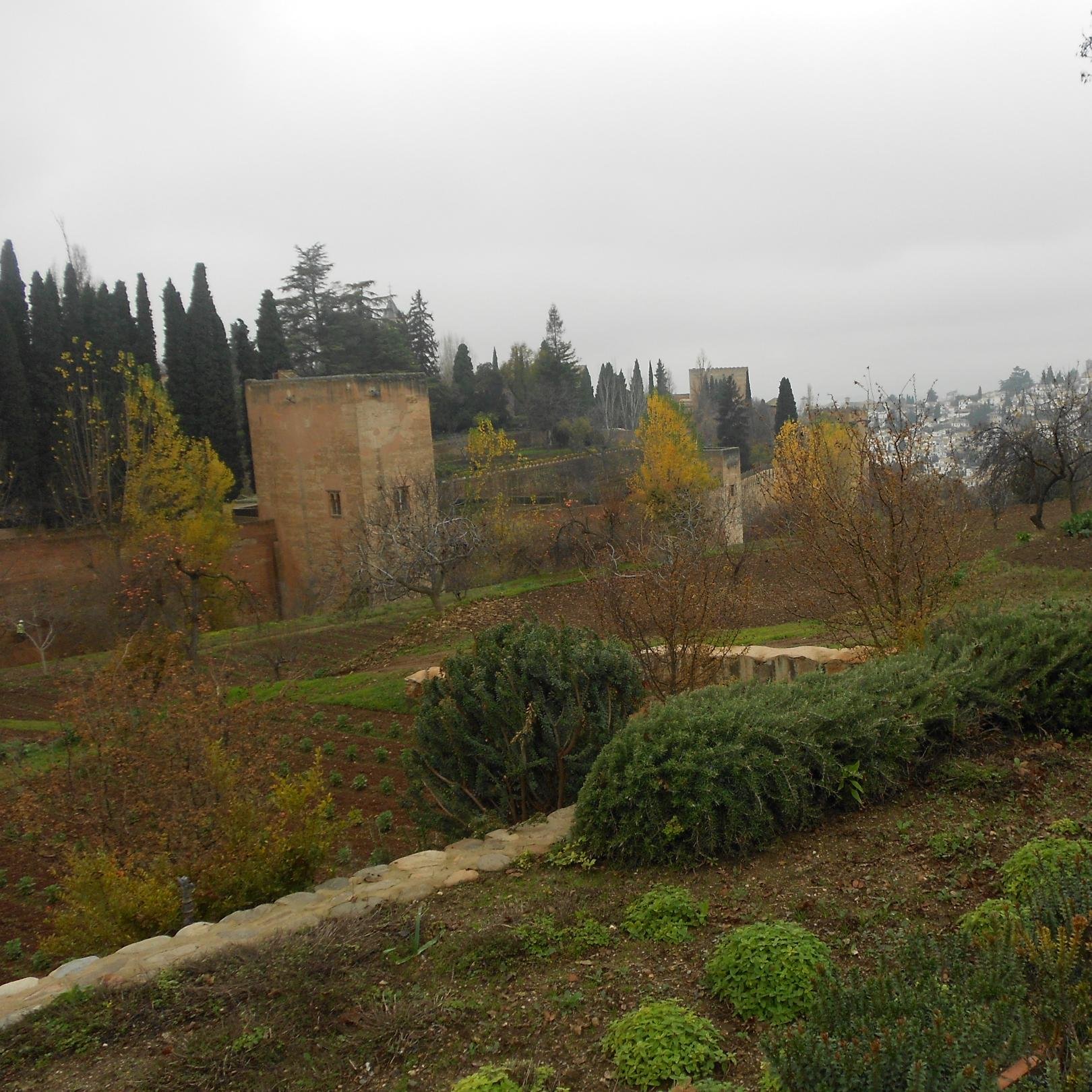 MartaRo95's profile picture. 