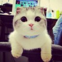 Антошка Картошка^-^ (@1968_anton) Twitter