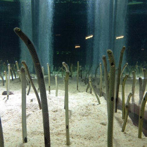 takemoton12's profile picture. コーヒー大好き。マグカップを集めてます。北欧雑貨
BBQ,飲み会が好きです