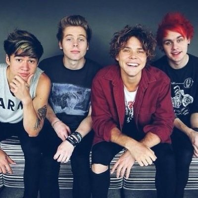 RT the link to be added to our petition for 5SOS to have a M&G on September 9, 2015 in Charlotte NC! @KaelaLT @Julia_Southern7