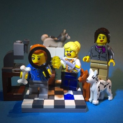 caninesci's profile picture. Three canine scientists sharing #realtimesci #womeninSTEM & puppy dog science tales via #legoselfie