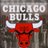 Chicago Bulls Fan
