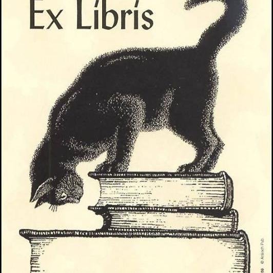 YBGenny's profile picture. Over achieving under achiever, addicted to learning. Lover of archaic skills and knowledge.  Oh and I make cozies for statues.:)