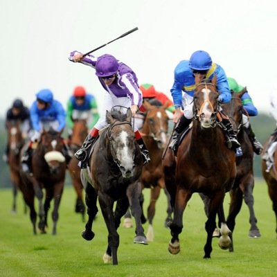 Ex horse trainer sharing tips that have been thought of in depth! Enjoy over 18's only