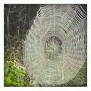 sue varner-davis - @sueypooh78 - Twitter