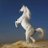 sultan_alsultn's profile image