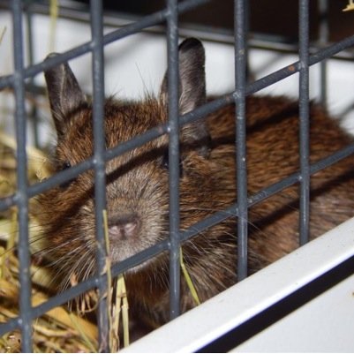 Stacie2405's profile picture. Happy go-lucky mum, enjoying life - no matter what it throws at me. Keep on smiling =D