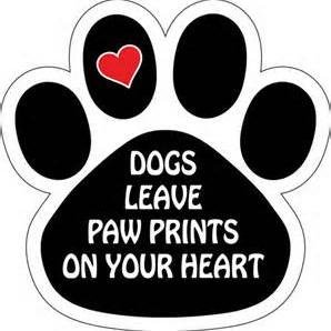 PawprintsForeve's profile picture. 