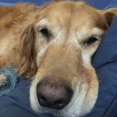 ChrisLanningLaw's profile picture. 